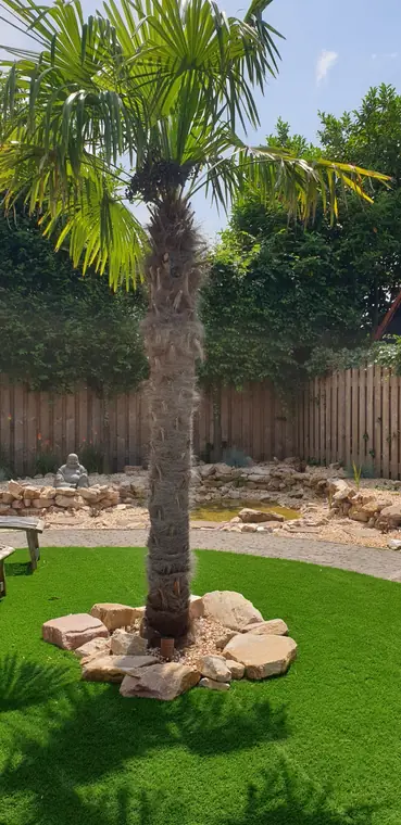 Verlichting in een mediterrane tuin, foto 4 van 4